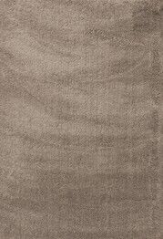 Dynamic Rugs SILKY SHAG 5900-115 Beige